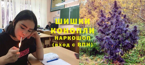 молекула духа Бородино
