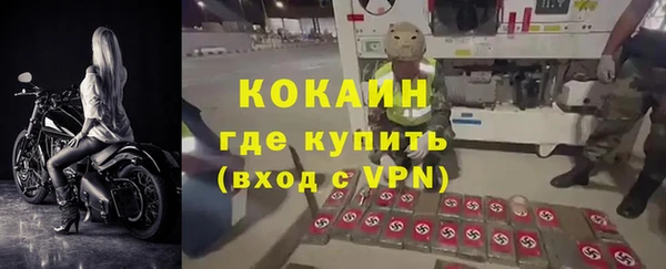 молекула духа Бородино