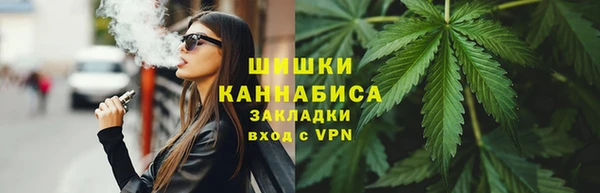 молекула духа Бородино