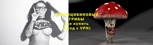молекула духа Бородино
