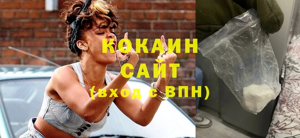 молекула духа Бородино