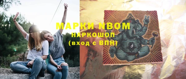 молекула духа Бородино