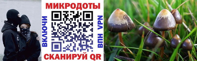 Галлюциногенные грибы MAGIC MUSHROOMS  Купить закладки  Славгород 